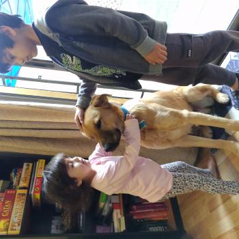 Babysitting job in Buin: babysitting job Elena