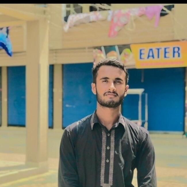 Babysitter in Shaikhpura: Rai Ali zaib