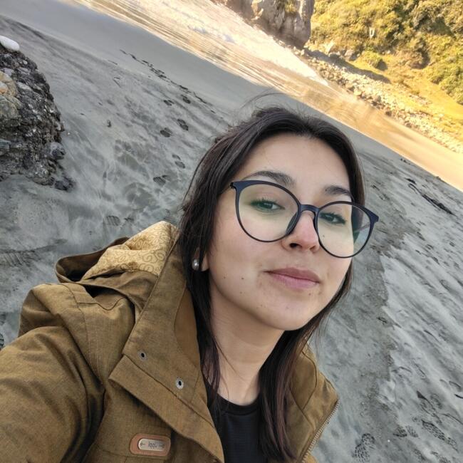 Babysitter in Paillaco: Niurka