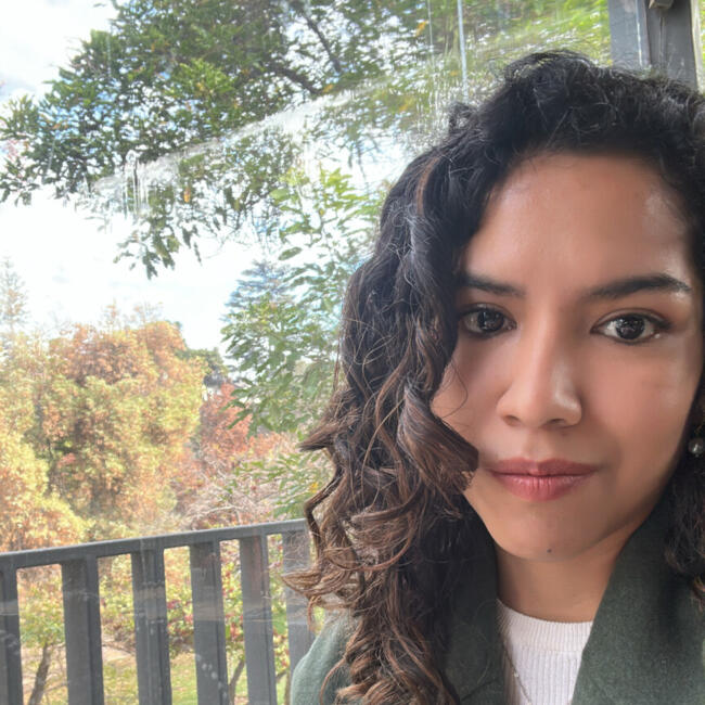 Babysitting job in Santiago: Mayra