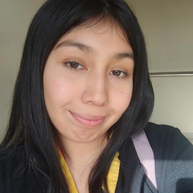 Babysitter in Temuco: Juana Isabel