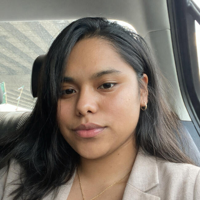 Babysitter in Monterrey: Janeth