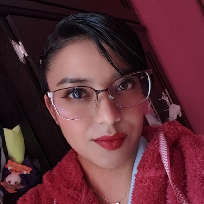 Babysitting job in Puebla City: Tere