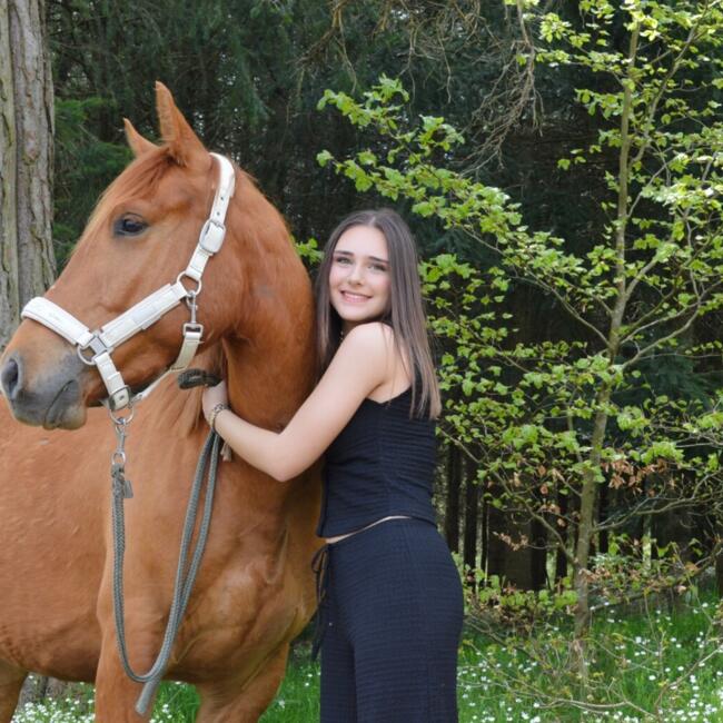 Babysitter in Firminy: Romane