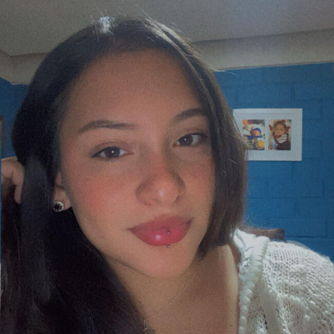 Babysitting job in Puente Alto: Gabriela