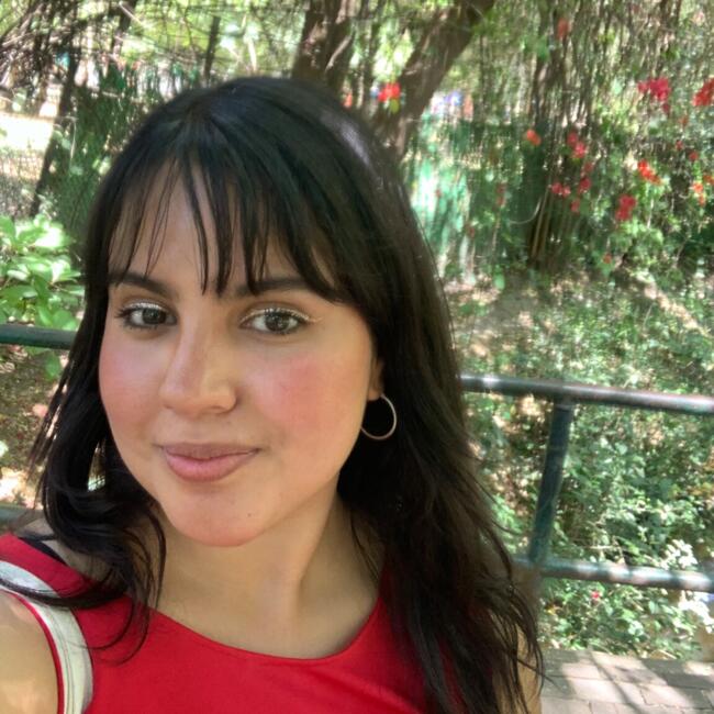 Babysitter in Aguascalientes: Alma Elena