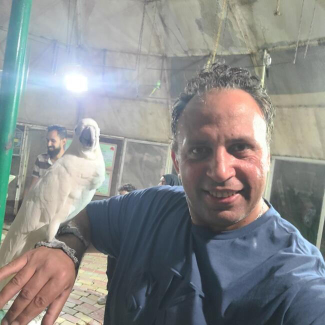 Babysitting job in Cairo: Waleed