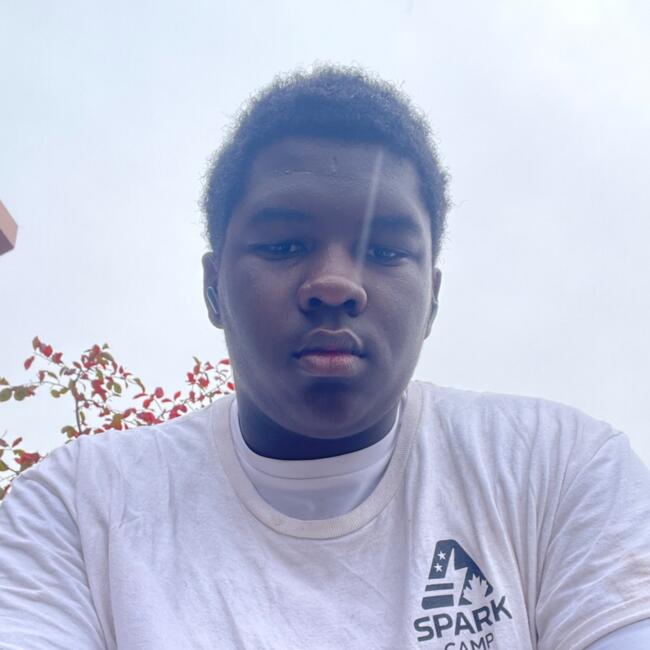 Babysitter in Hamilton: Anthony