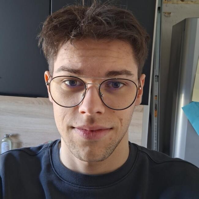 Babysitter in Pessac: Tom