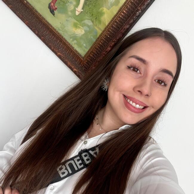 Babysitter in Port Montt: Javi