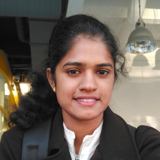 Babysitter in Sevran: Rajendran