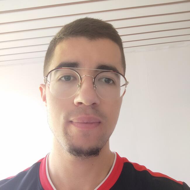 Babysitter in Soisy-sous-Montmorency: Valentin