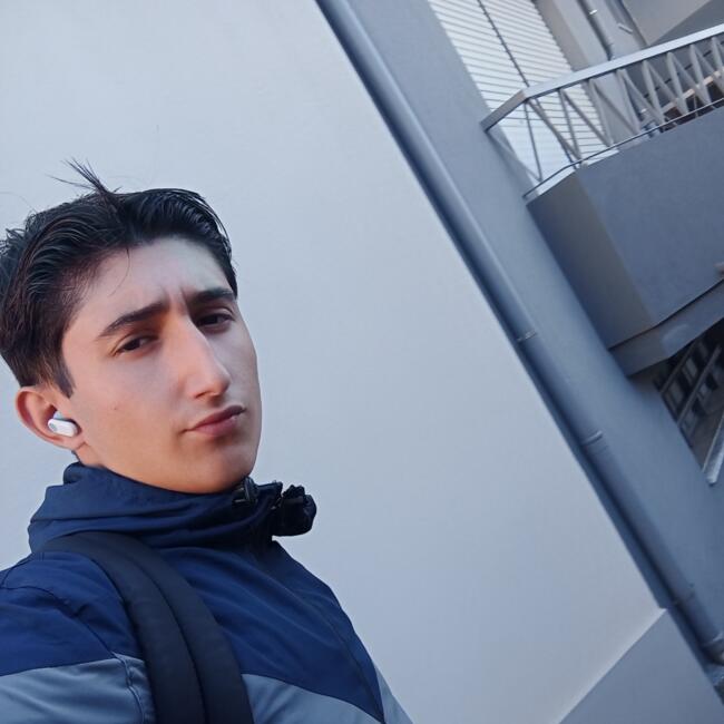 Babysitter in Estarreja: Diogo