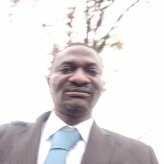 Babysitter in Graigue (Leinster): Najeeb Kolawole