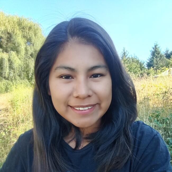 Babysitter in Santiago: Roselin