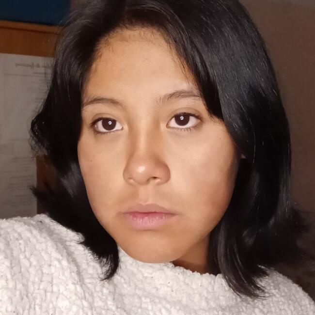 Babysitter in El Alto: Mariana Castro