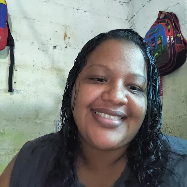 Babysitter in Caracas: Brígida Roxana del vall Mijare
