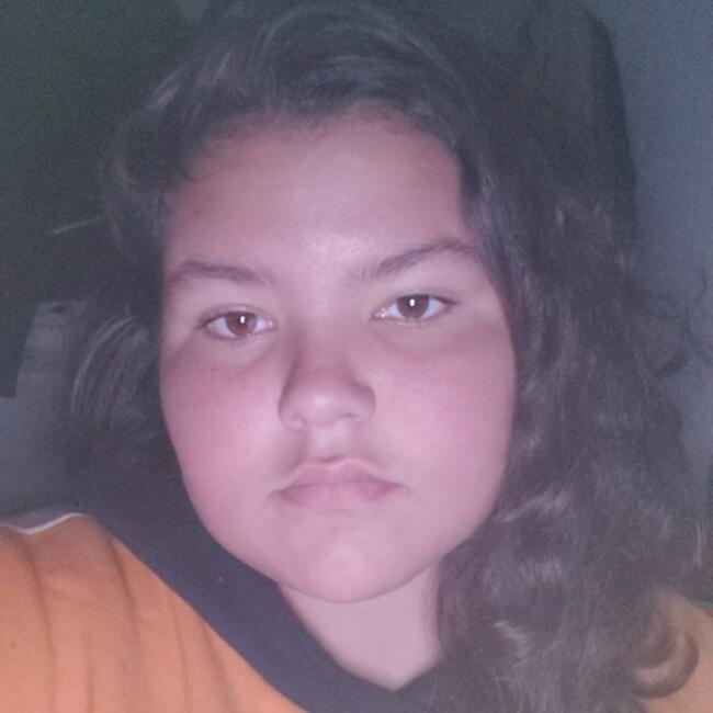 Babysitter in York (Pennsylvania): Sophia