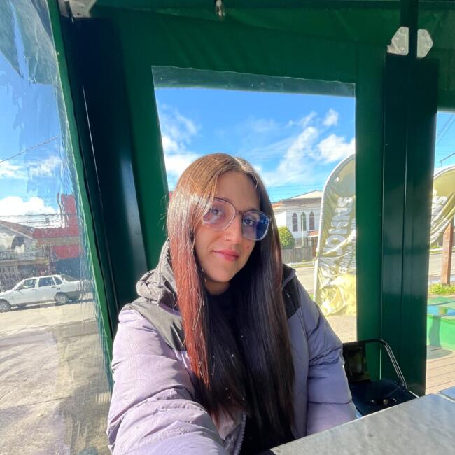 Babysitter in Villarrica: Camila