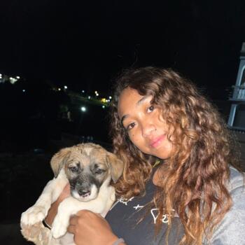 Baby-sitter Paris: TSIAVAHANA