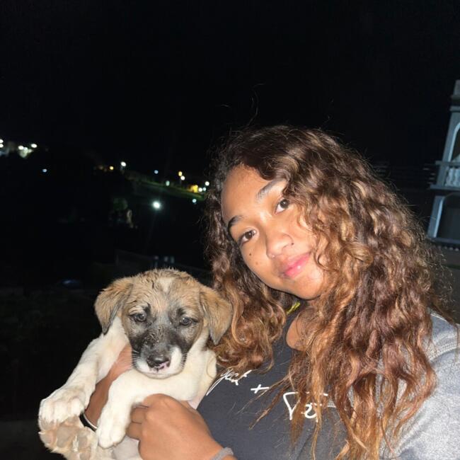 Babysitter in Paris: TSIAVAHANA