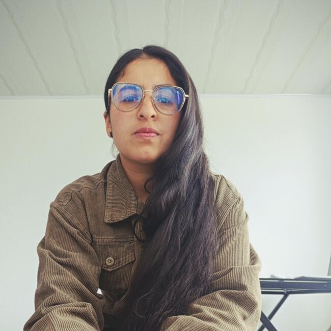Babysitter in Manizales: Alejandra