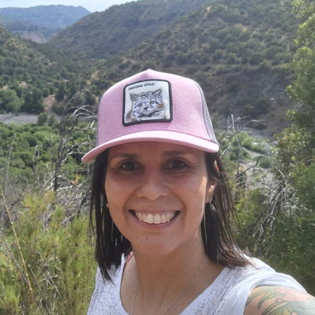 Niñera en Rancagua: Francia