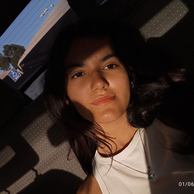 Babysitter em Ventosa do Bairro: Louise