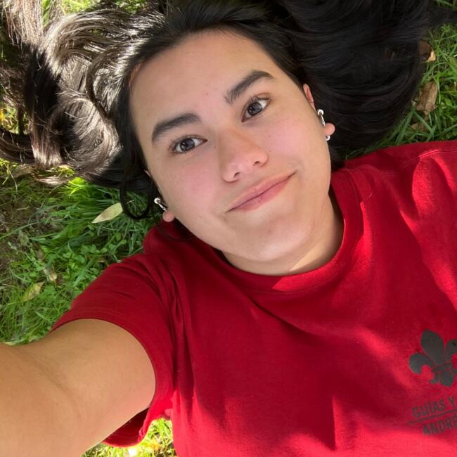 Babysitter in La Reina: Sophia