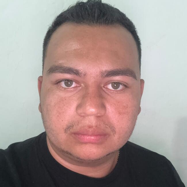 Trabajo para niñera en Piedecuesta: Luis