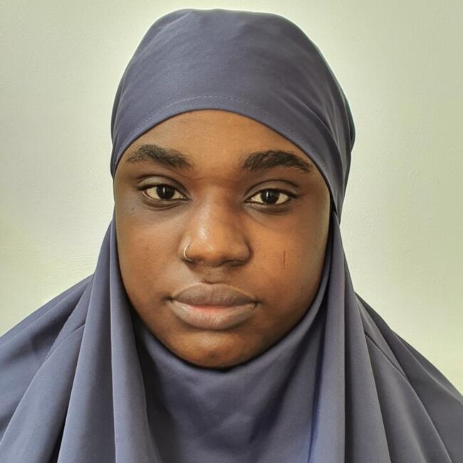 Babysitting job in Birmingham: Anifat