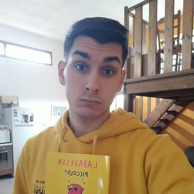 Babysitter a Gallarate: Luca