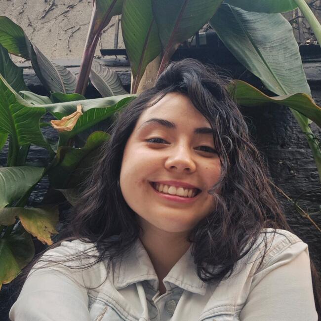 Babysitter in Auckland: Nicole Almendra