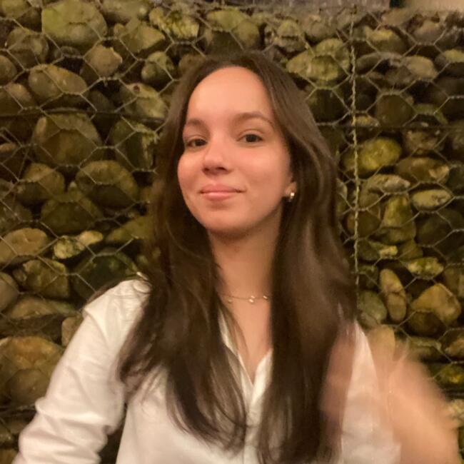 Babysitter in Camboriú: Ana Julia