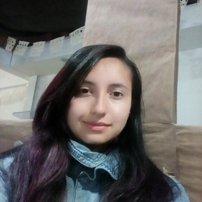 Babysitter in Pereira: Yessica Marcela