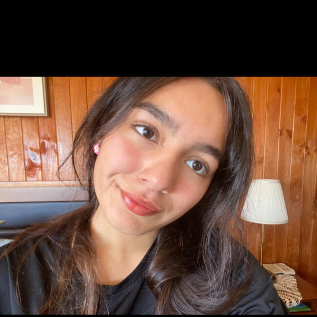 Babysitter in Castro: Isidora