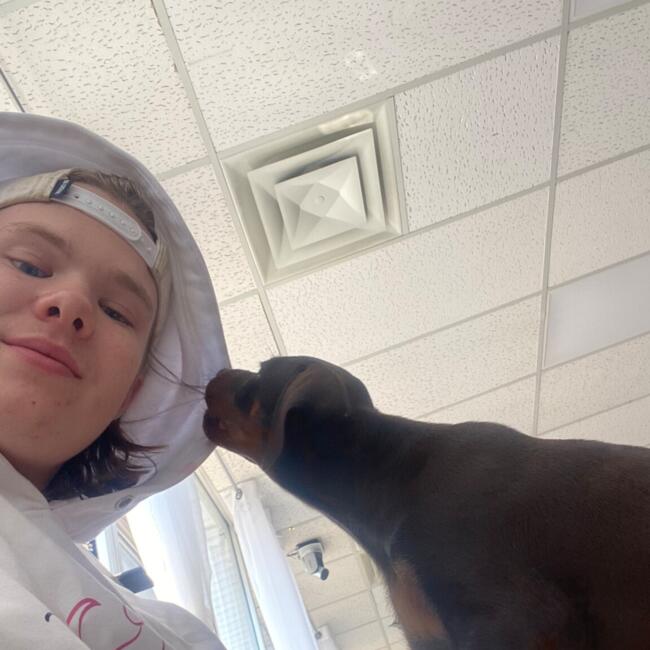 Baby-sitter in Huntsville: Riley