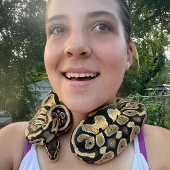 Babysitter in Staten Island: Allison