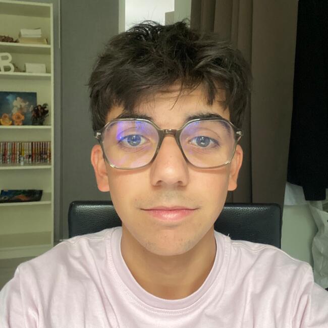 Babysitter in Plaisance-du-Touch: Sacha