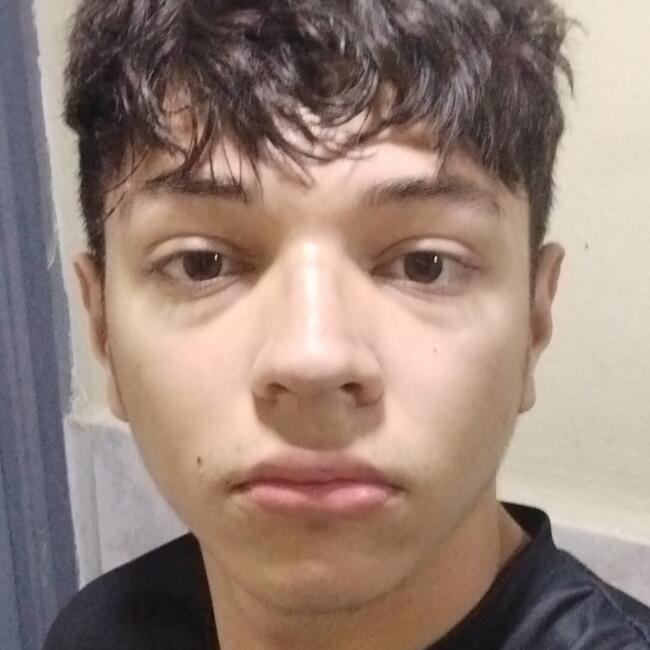 Babysitter in San José (Provincia de San José): Brandon