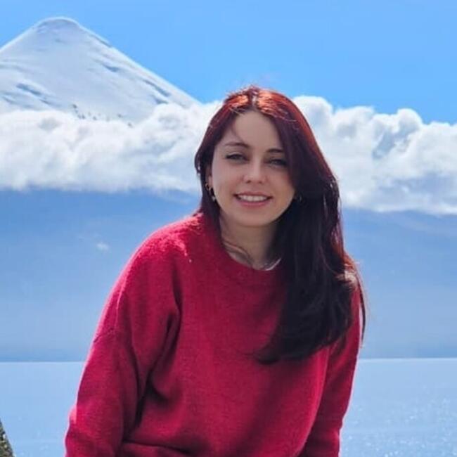 Babysitter in Puerto Varas: Macarena