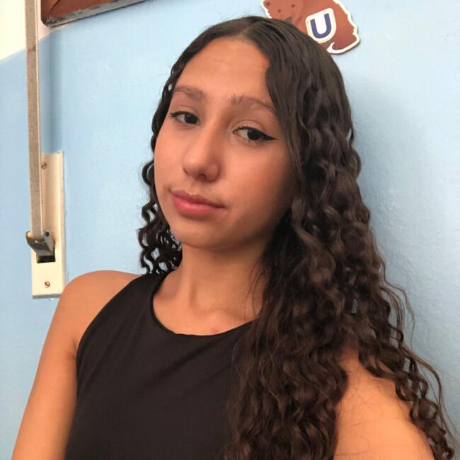 Babysitter in Passo Fundo: Gabriely