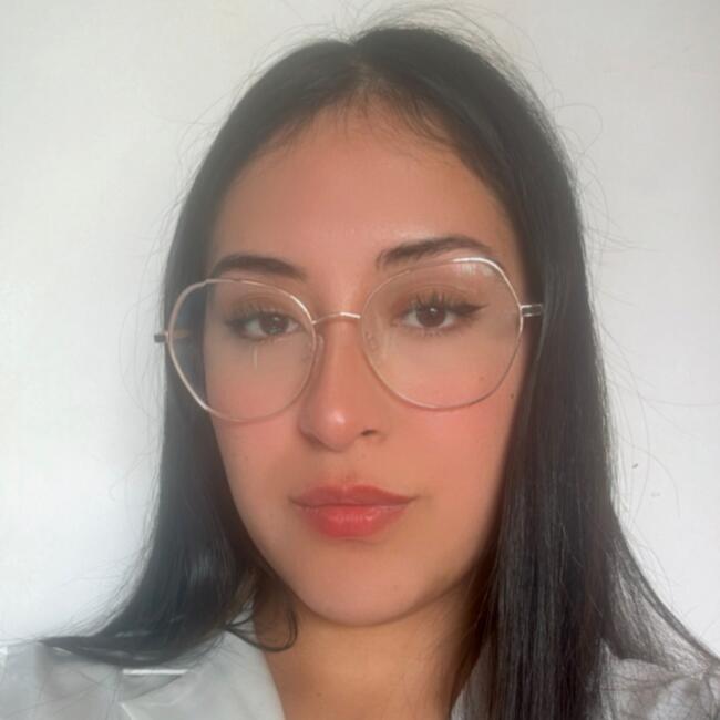 Babysitter in Peñalolén: Ayline