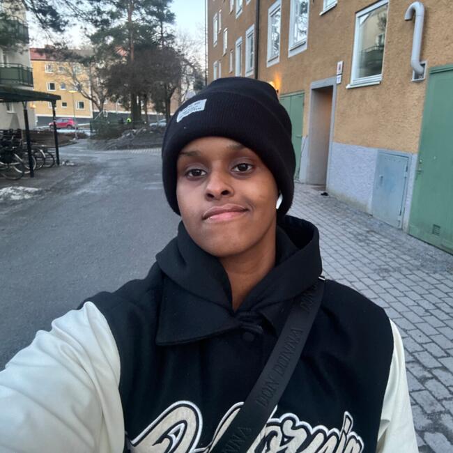 Babysitter in Stockholm: Anisa
