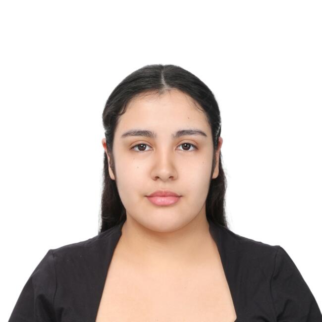 位於新竹市的臨時保母: Sofia