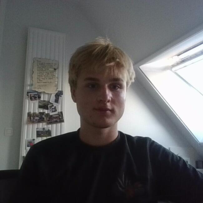 Babysitter in Haacht: Warre