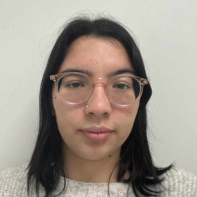 Babysitter in Caxias do Sul: Maria eduarda