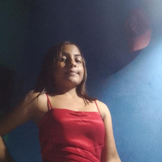 Babysitter in San Fernando de Apure: Carliannys