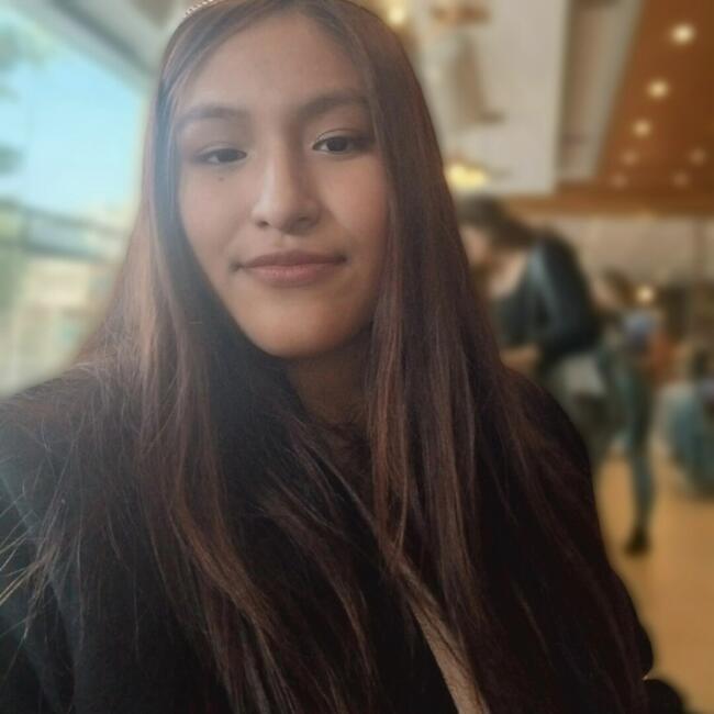 Babysitter in Santiago: Anahi