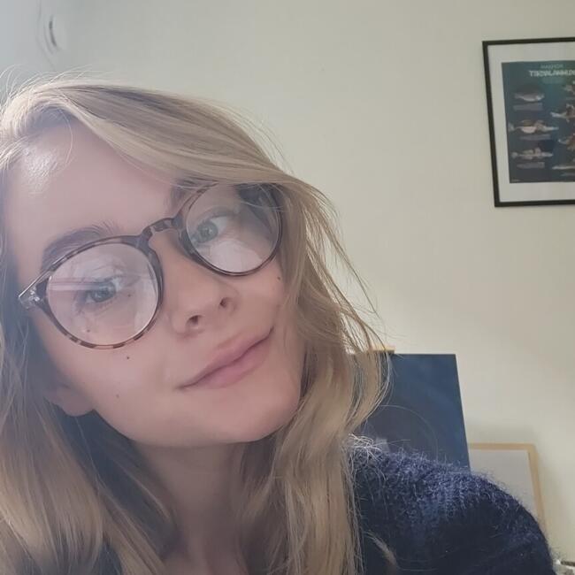 Babysitter in Helsinki: Sara